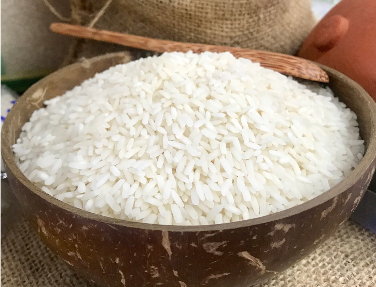 CÁCH NẤU CHÁO RONG BIỂN THỊT BÒ BĂM CHO BÉ ĐỦ CHẤT DINH DƯỠNG Gạo nếp Thái là gì? - leanhtien.net
