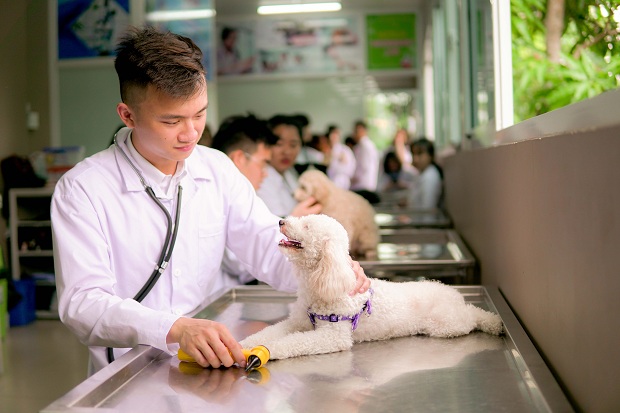 Phòng khám Sài Gòn - SaiGon Pet