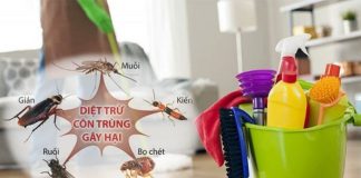 dịch vụ diệt trừ côn trùng