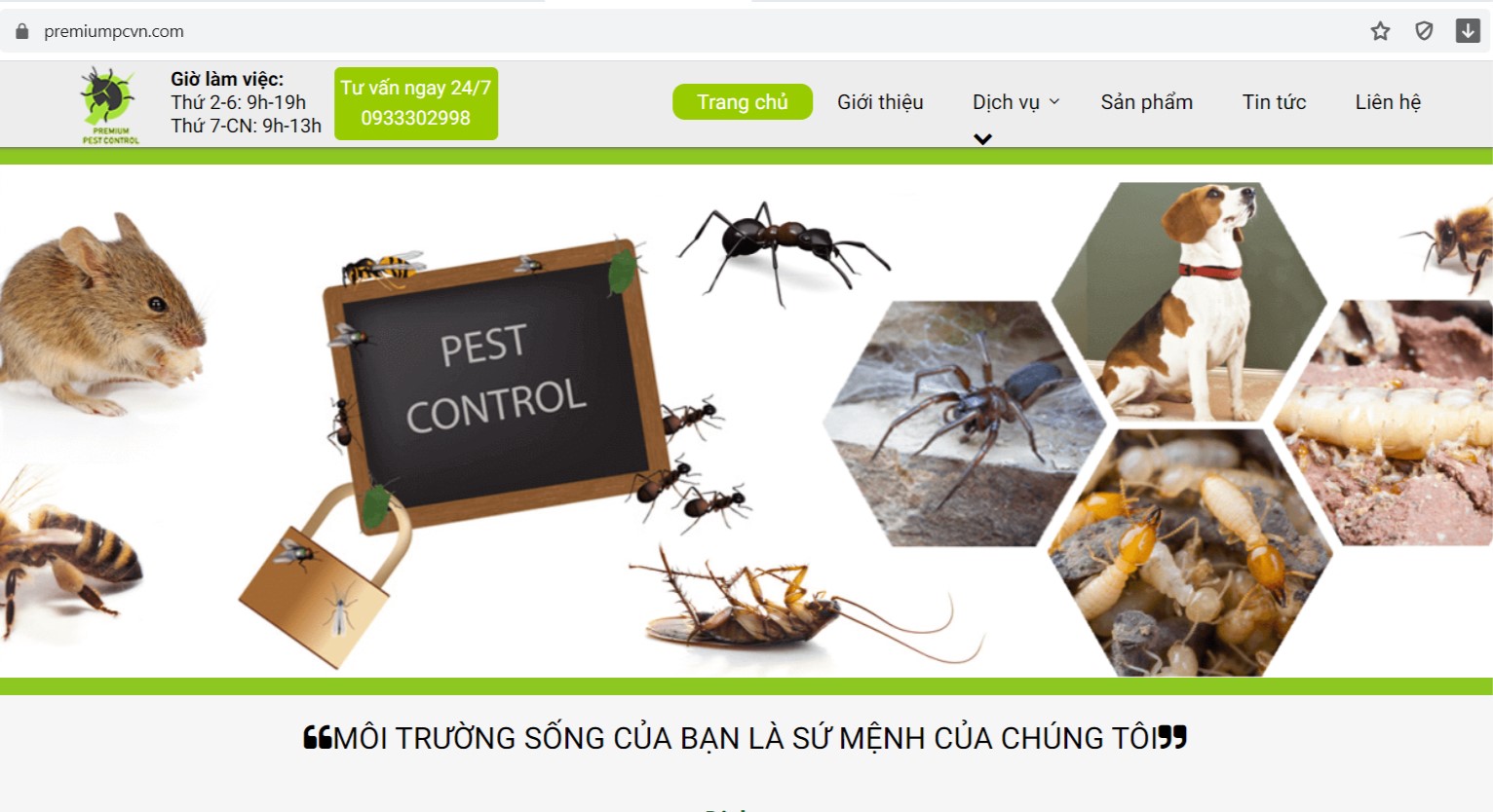 Công ty diệt côn trùng Tiên Phong Pest Control