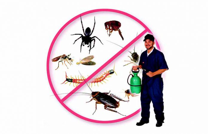 dịch vụ diêt trừ côn trùng