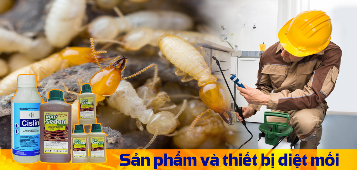 Công ty diệt côn trùng Hải Đăng