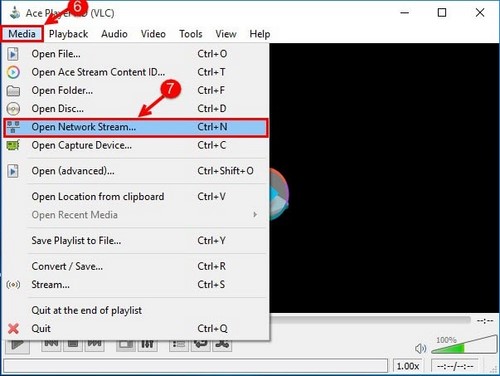Hướng dẫn cài đặt Ace Stream Media trên Windows 10 - Hình 6