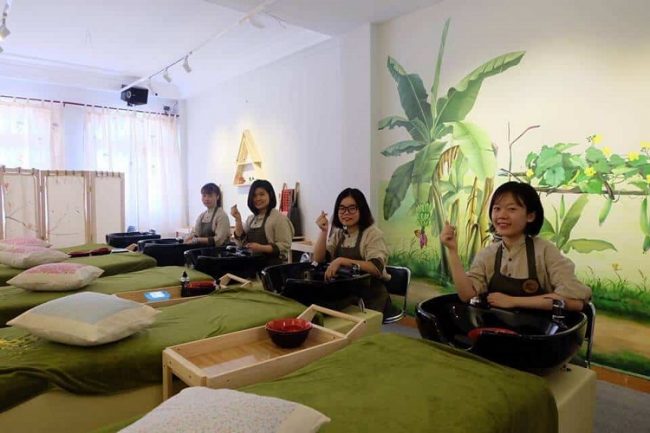 cỏ thơm salon