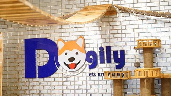 Shop dogily