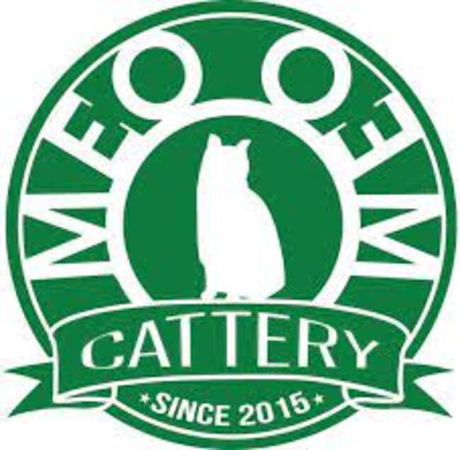 Shop bán mèo Cattery
