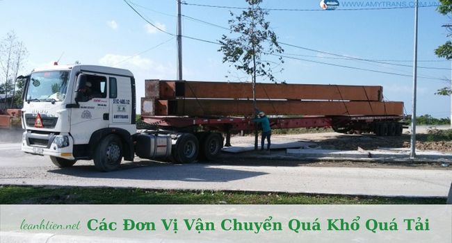 CTCP Vận Tải & Dịch Vụ Á Mỹ