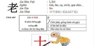 Download giáo trình chiết tự chữ Hán Full PDF Miễn Phí